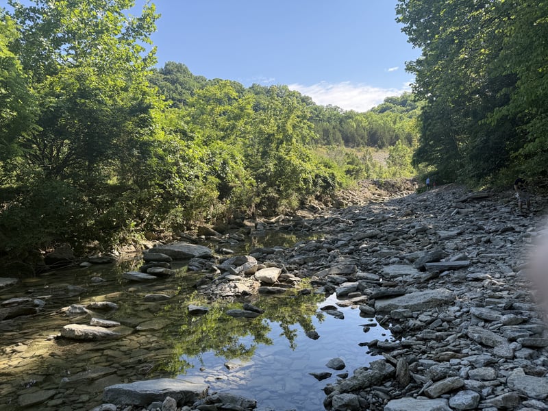 Bender Mountain Preserve Creek