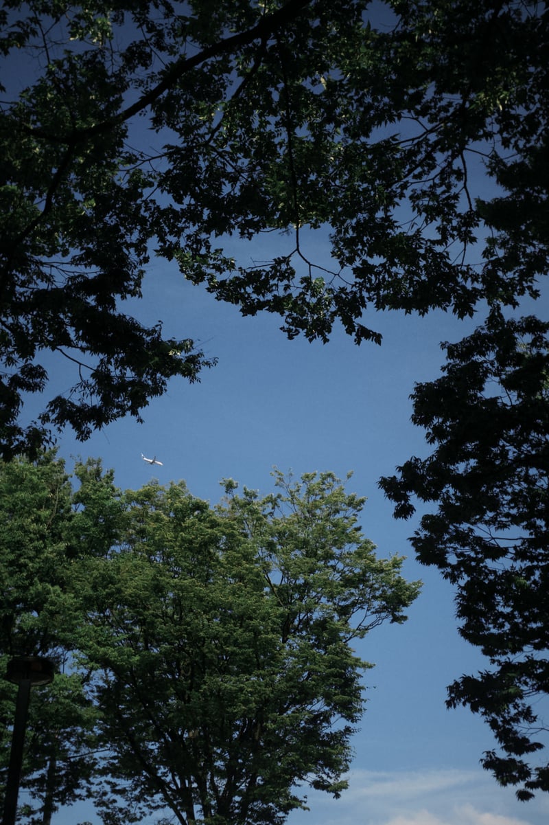 Yoyogi Park