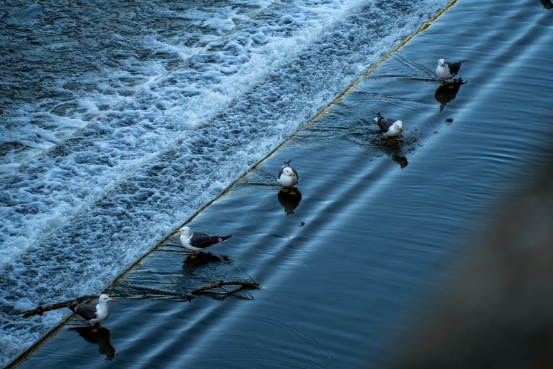 River Avon Weir at Widcombe