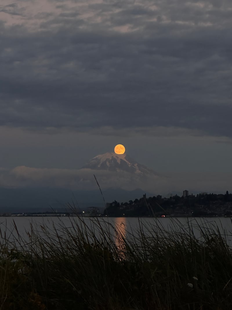 Mount Rainier View from Point Defiance