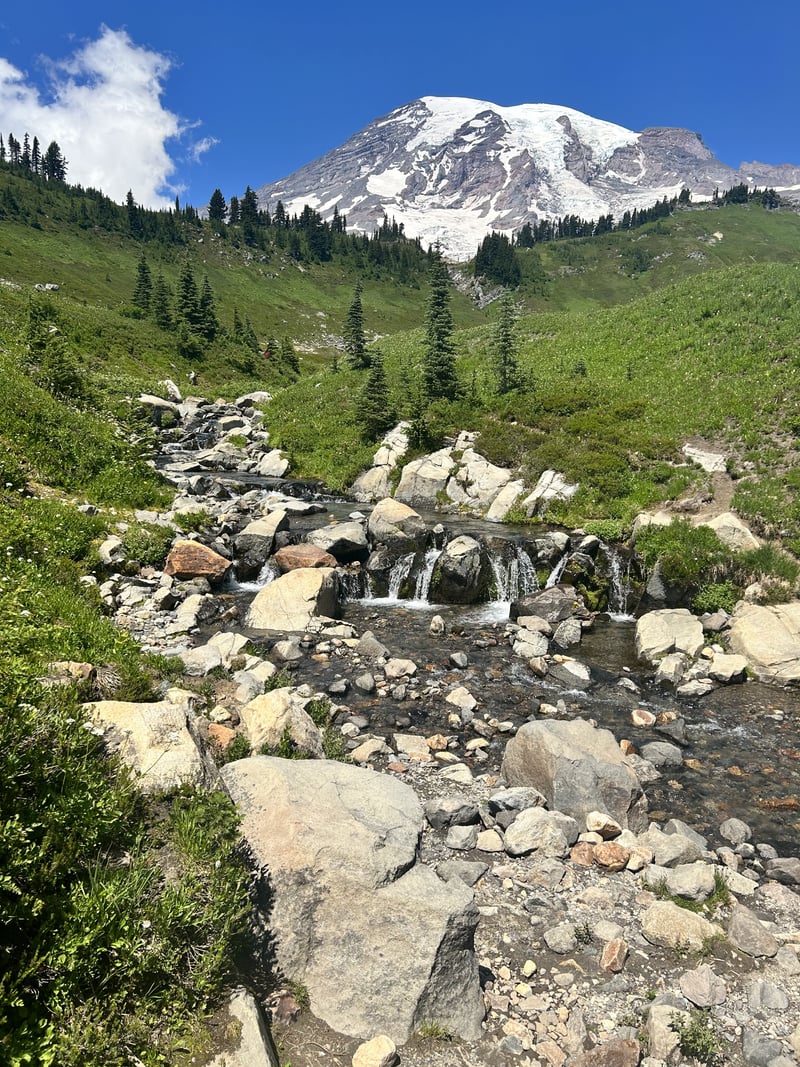 Mount Rainier National Park