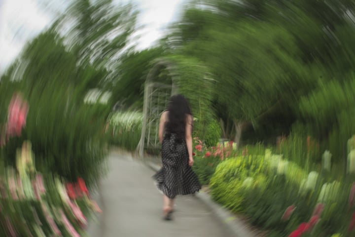 Southridge Rose Garden