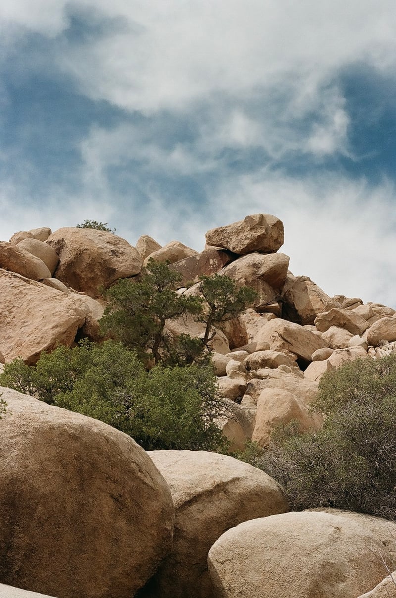 Joshua Tree Rock Formations