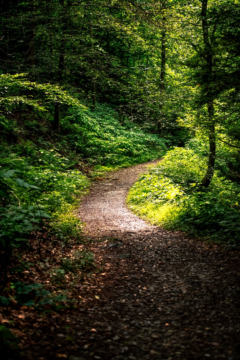 Kellys Run Nature Trail