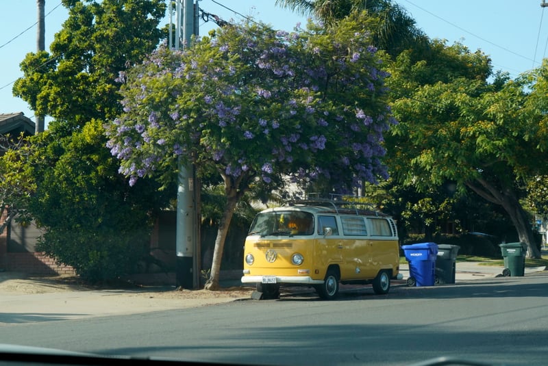 Encinitas Coastal Neighborhood