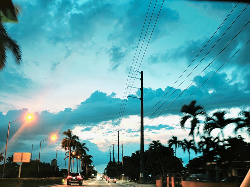 Hialeah Palm-Lined Boulevard