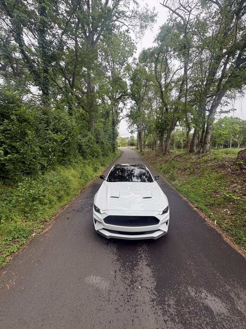 Hickory Trace Wooded Drive