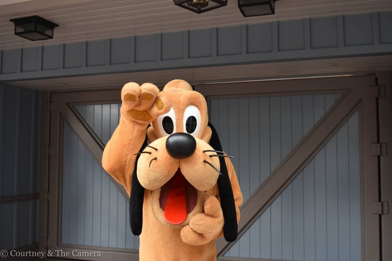 Disneyland Park