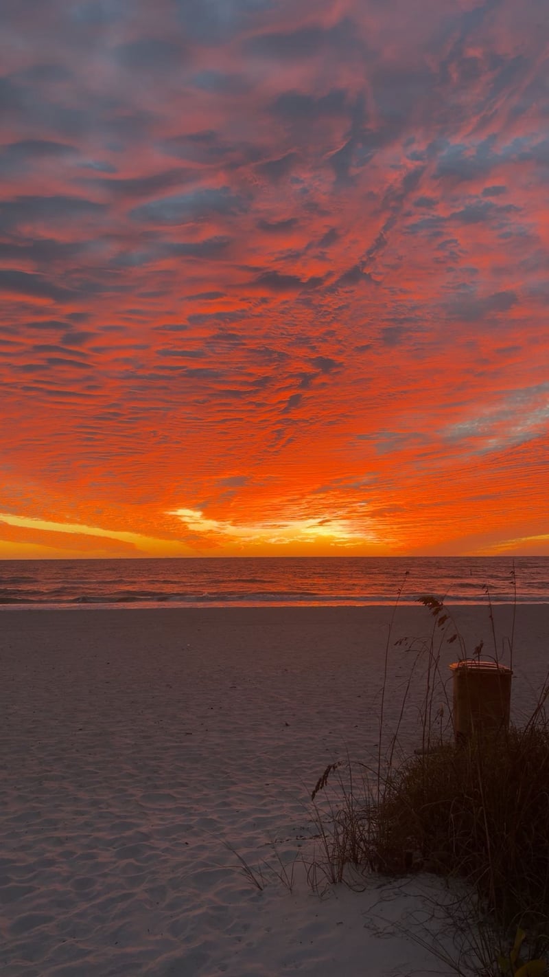 Treasure Island Beach