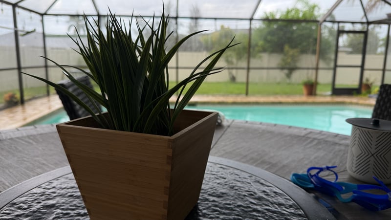 Cape Coral Lanai Poolside
