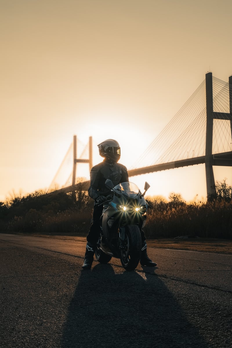 Talmadge Memorial Bridge Overlook