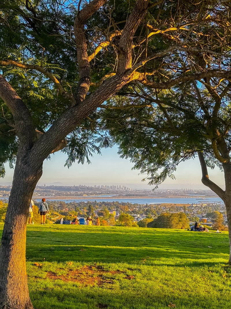 Kate Sessions Park