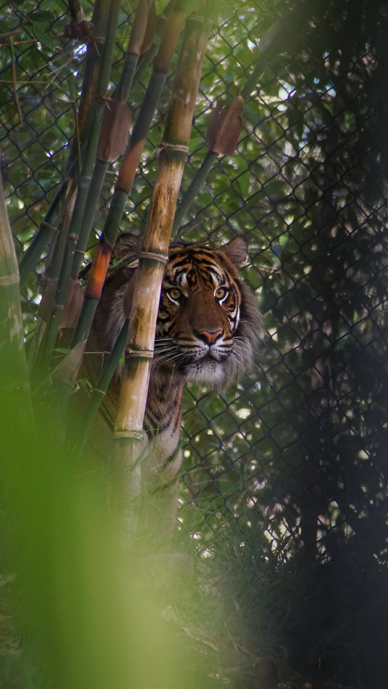 San Diego Zoo