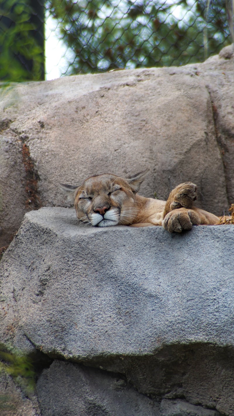 San Diego Zoo
