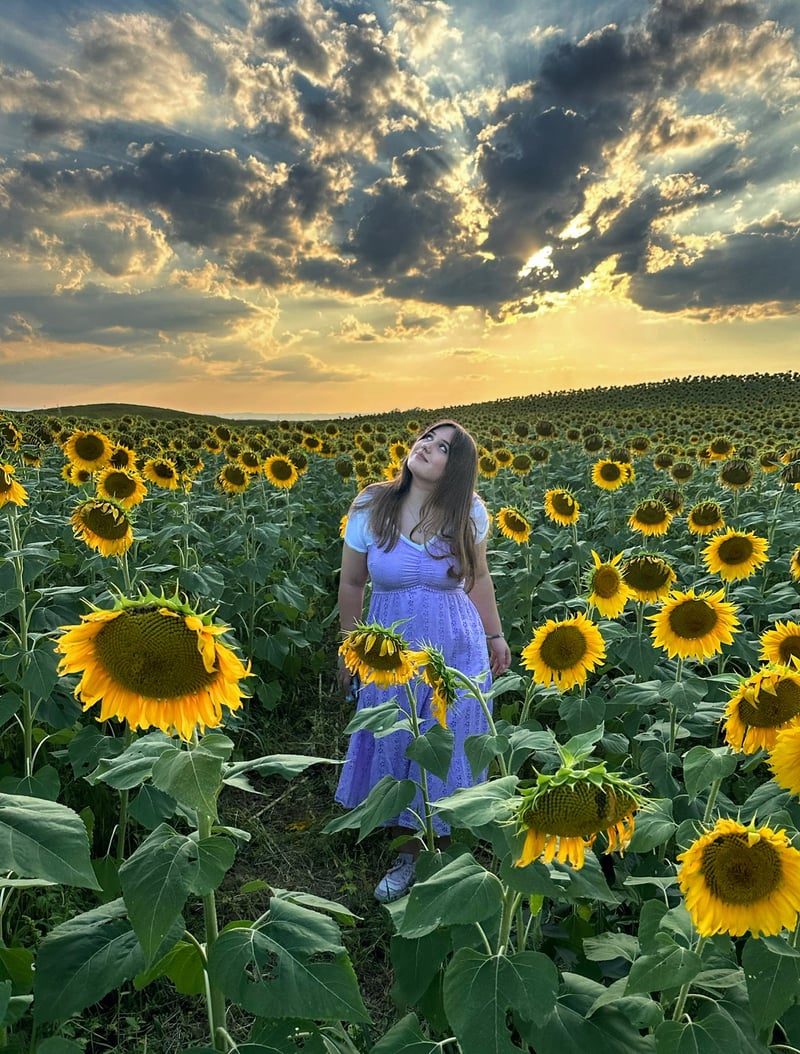 Leshers Mill Sunflower Field