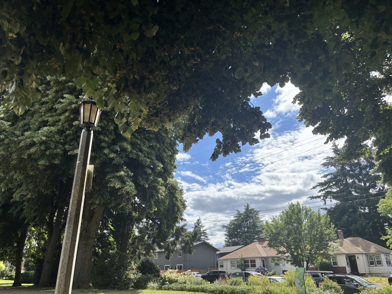 North Albina Avenue Streetscape