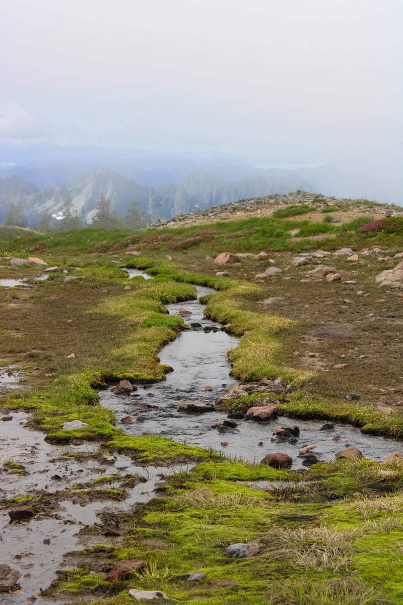 Skyline Trail Alpine Meadows