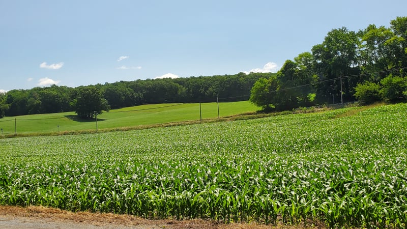 Churchville Rolling Farmland