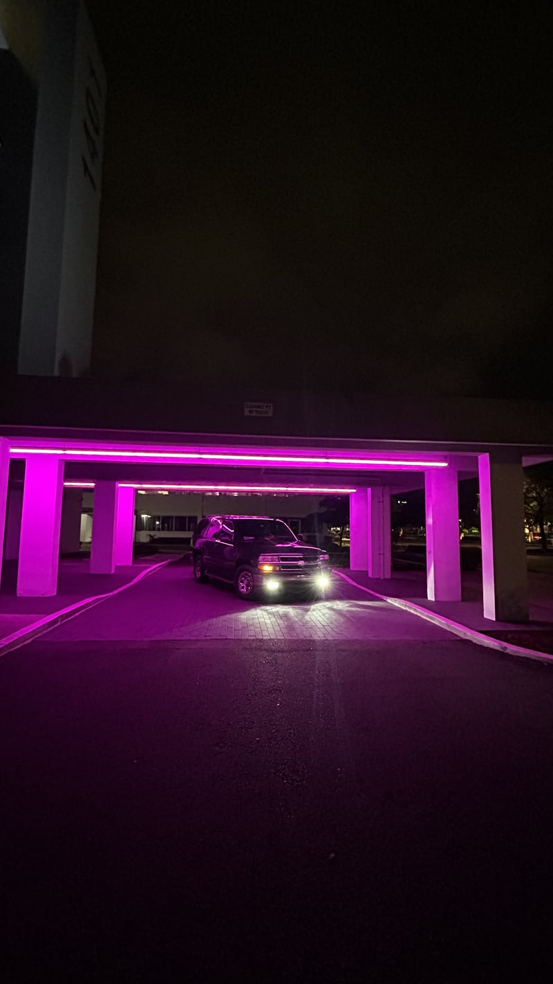 Westshore Neon Portico