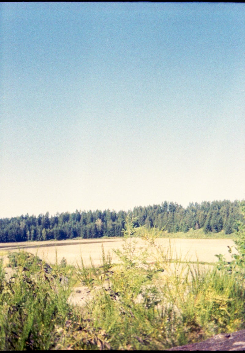 Fort Steilacoom Park Fields
