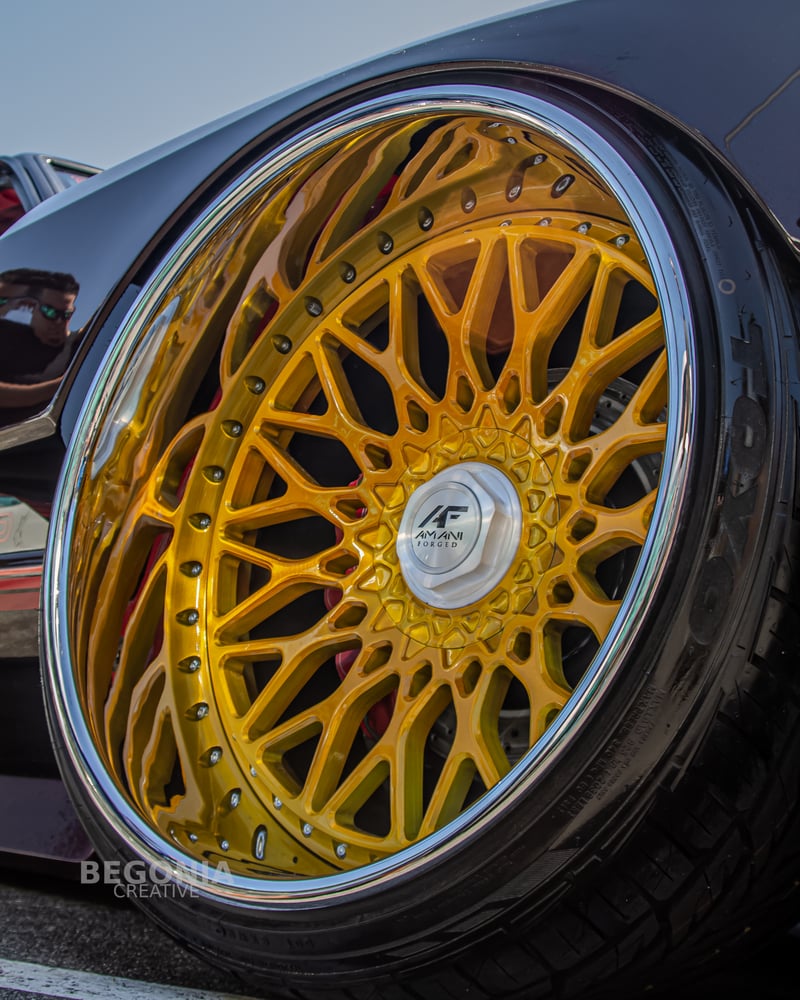 Pinellas Park Automotive Showcase