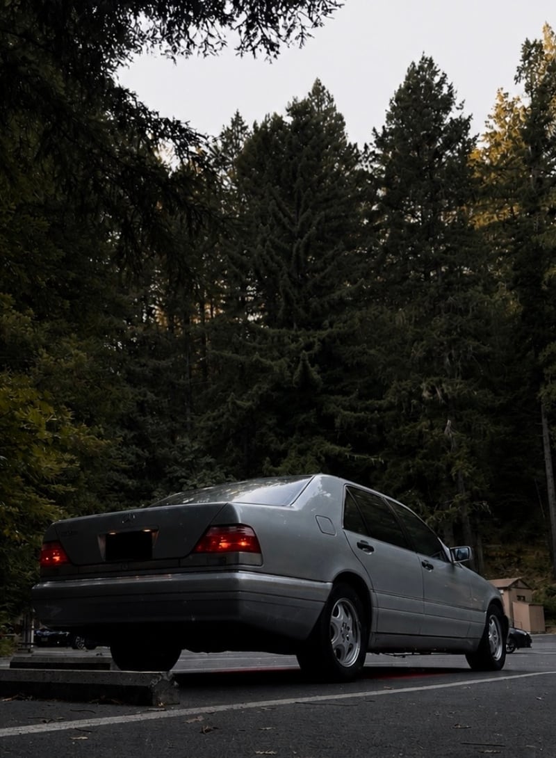 Armstrong Redwoods State Natural Reserve