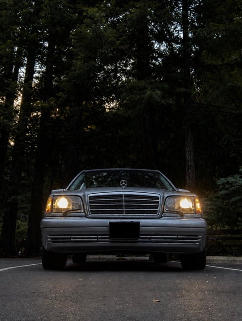 Armstrong Redwoods State Natural Reserve