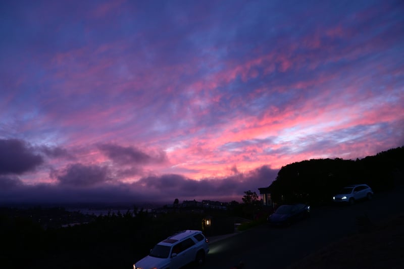 Tiburon Hillside Overlook
