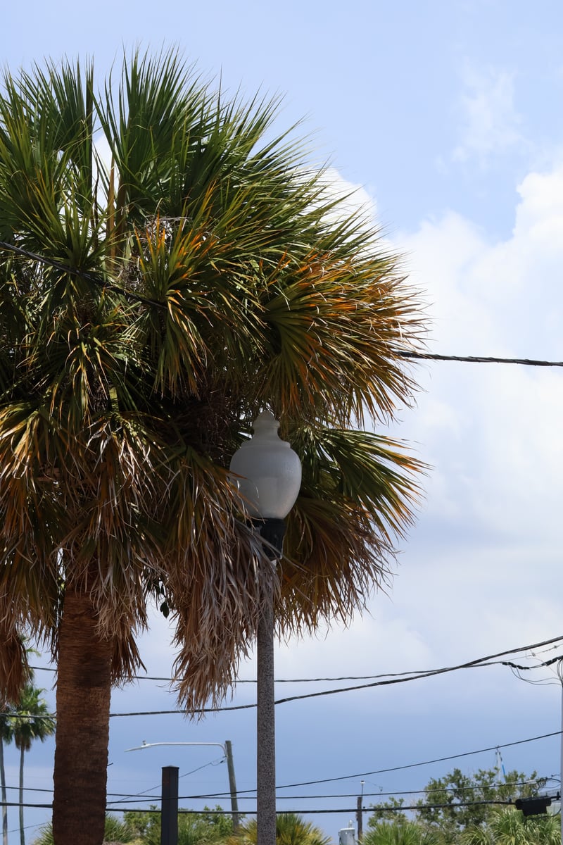 John's Pass Coastal Streetscape