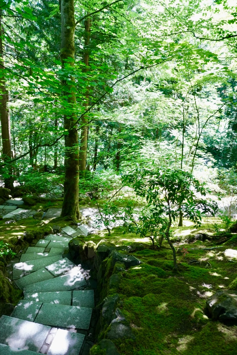 Portland Japanese Garden
