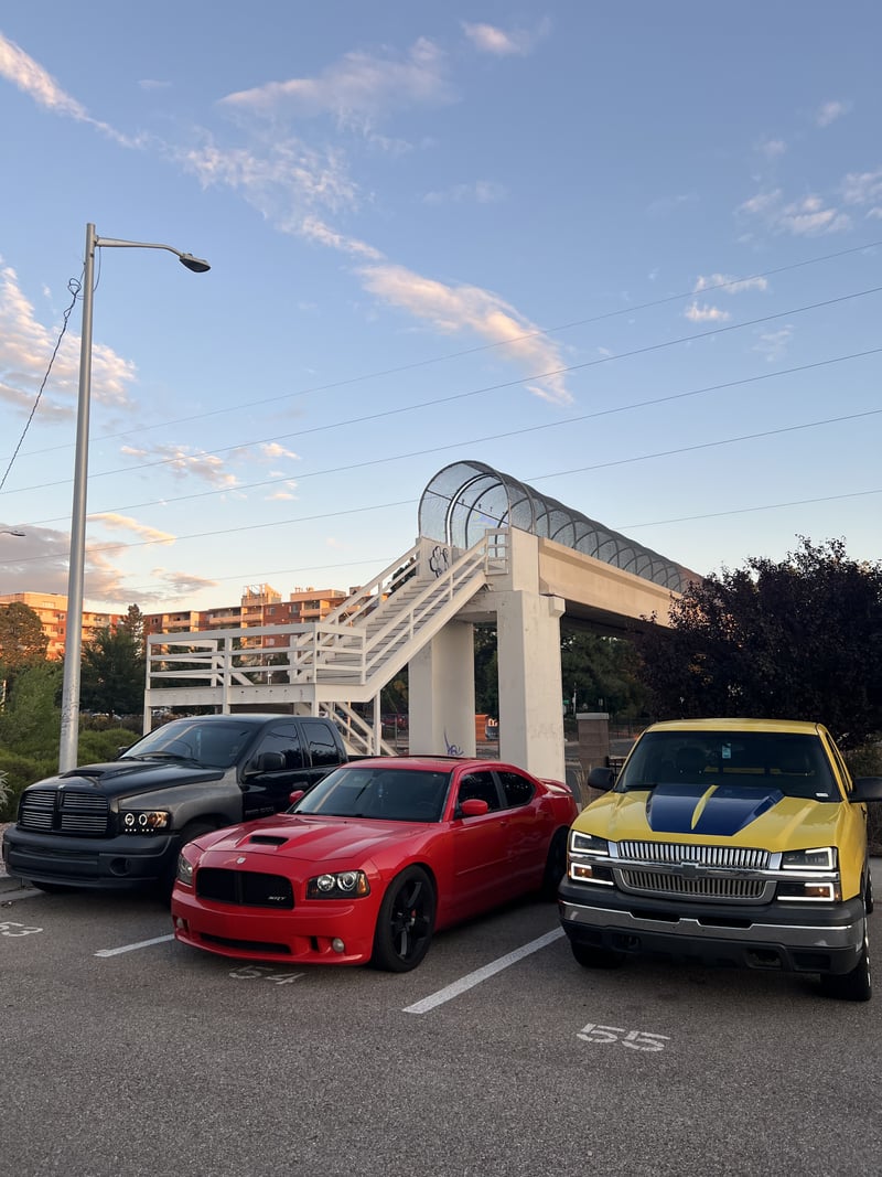 Montgomery Blvd Pedestrian Bridge