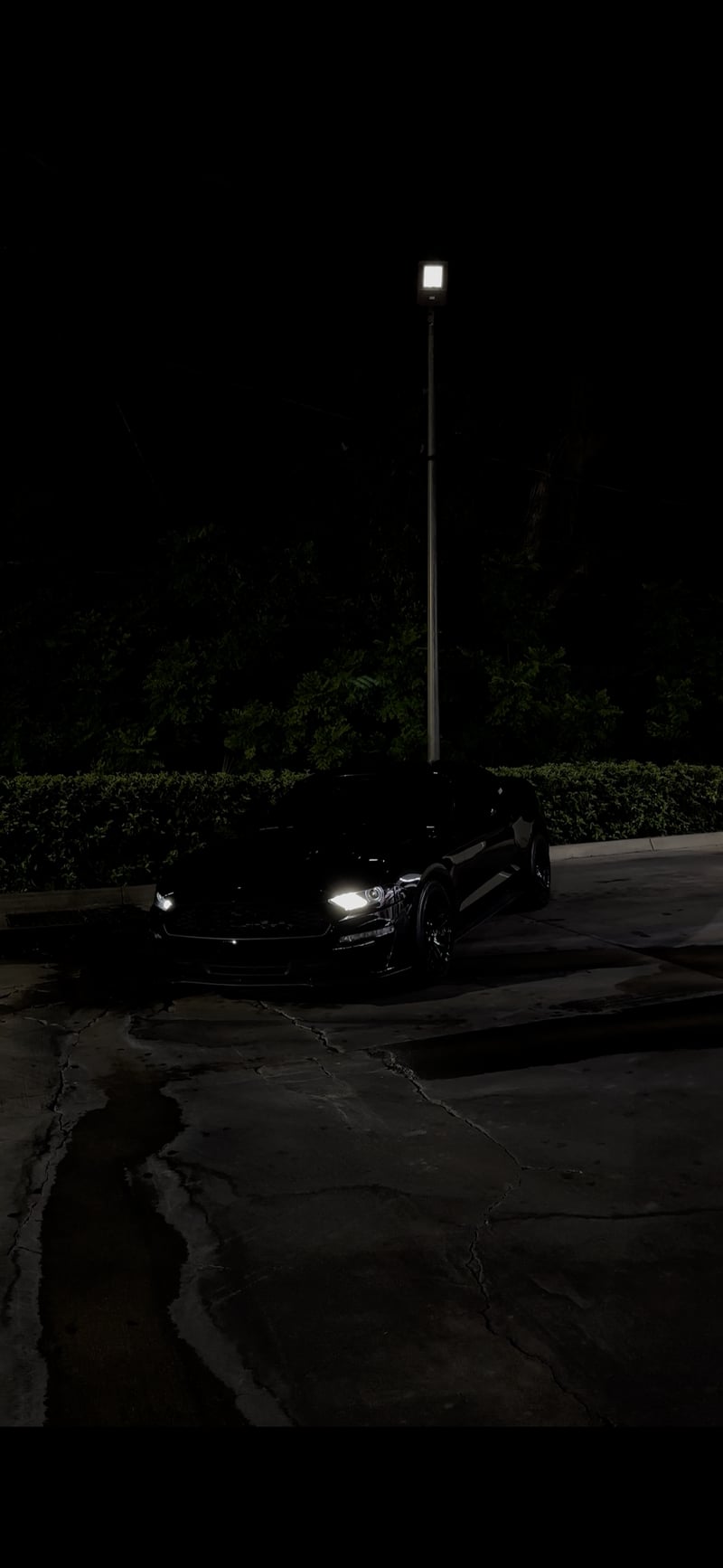 Zephyrhills Night Parking Lot