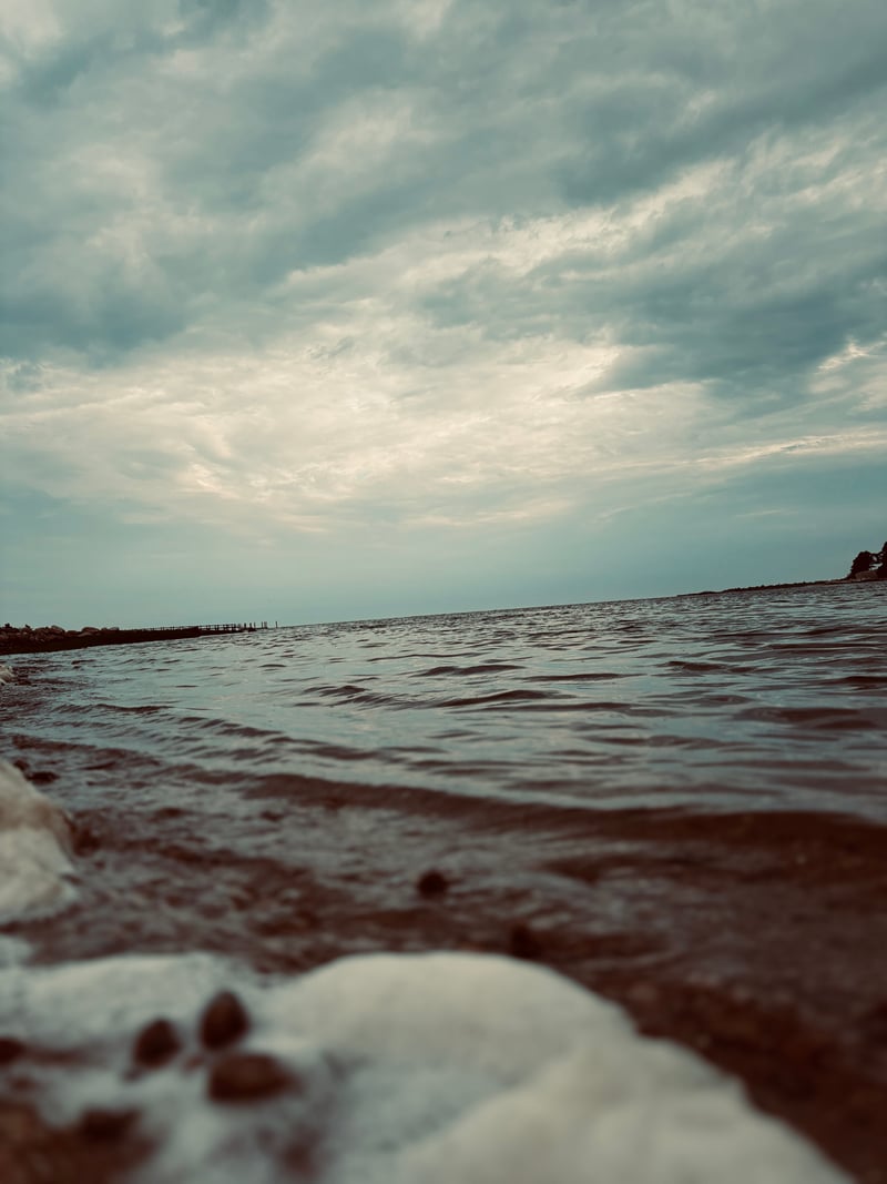 Little River Shoreline