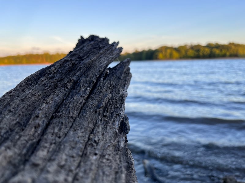 Oradell Reservoir Shoreline