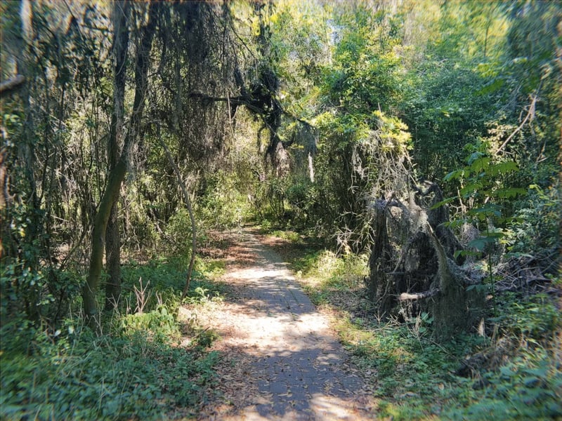 Savannah Woodland Trail