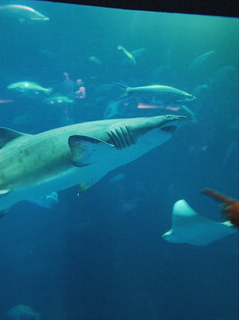 Coastal Marine Life Aquarium