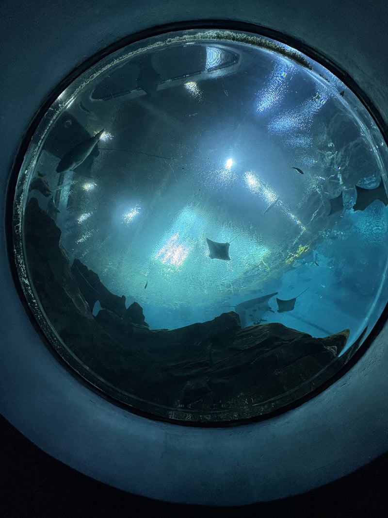 Georgia Aquarium
