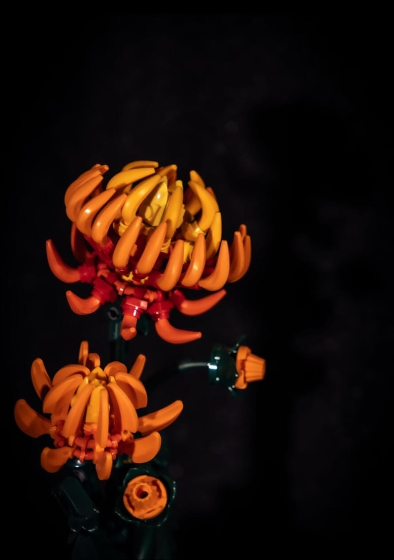 LEGO Botanical Display