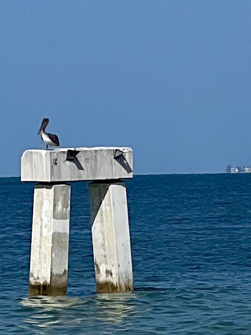Fort Myers Beach Pier