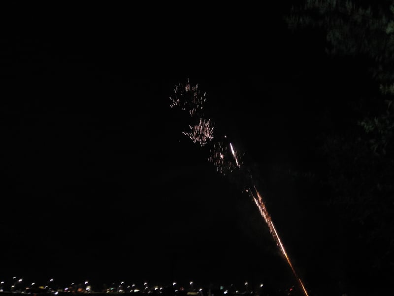 Winter Garden Fireworks View