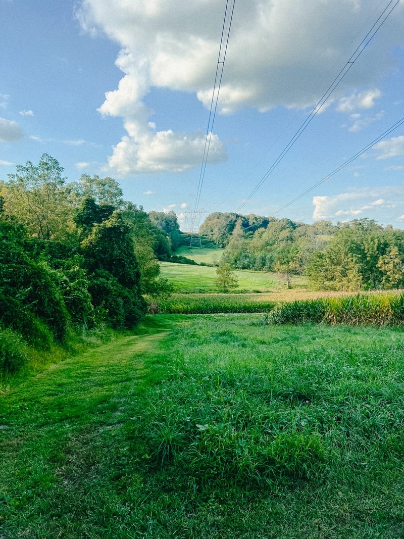 Lucky Hill Rural Vista