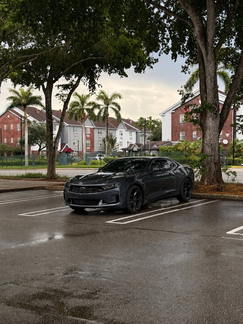 Miami Lakes Palm-Lined Parking Lot
