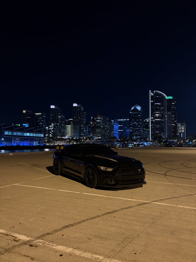 San Diego Waterfront Skyline Overlook