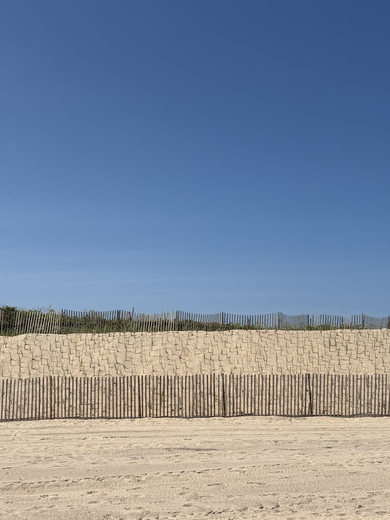 Montauk Beach Dunes