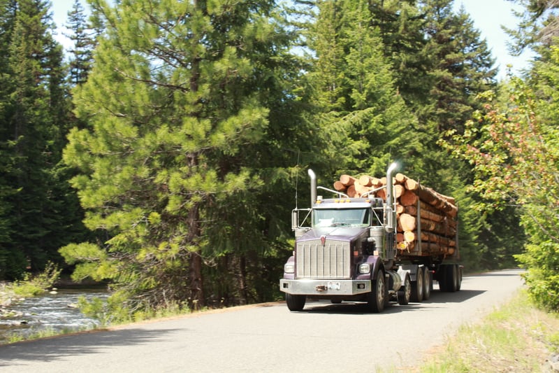 Naches River Forest Road