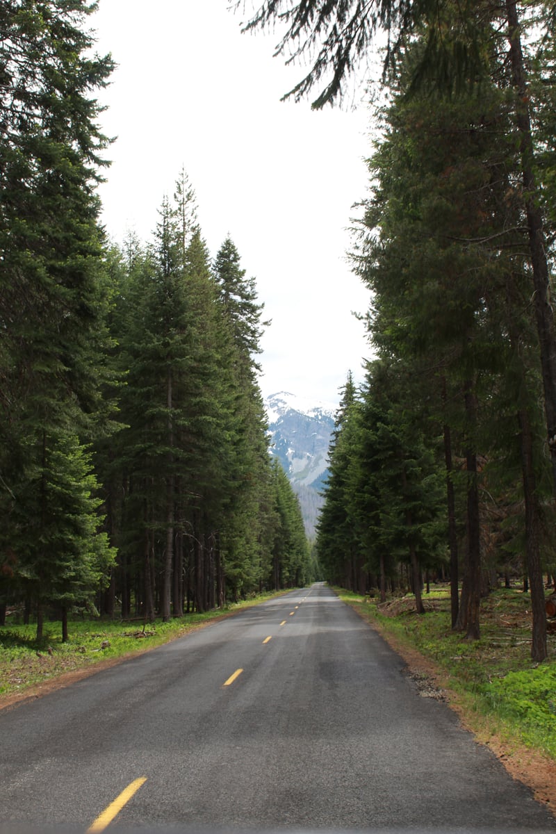 Naches Forest Road to the Cascades