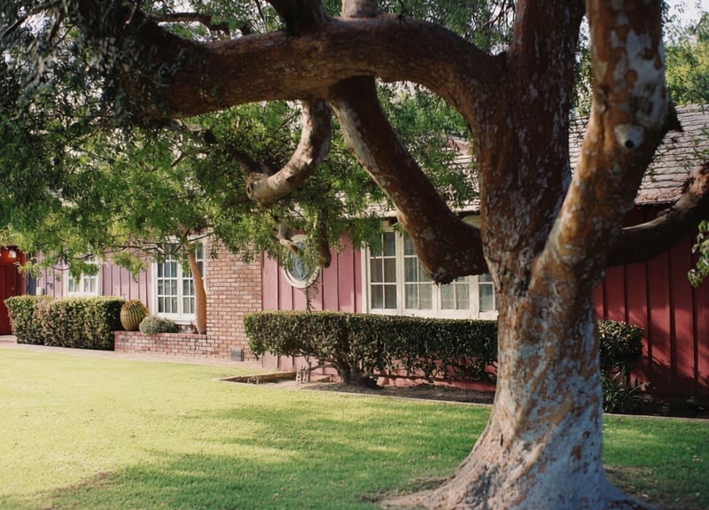 Anaheim Suburban Garden House