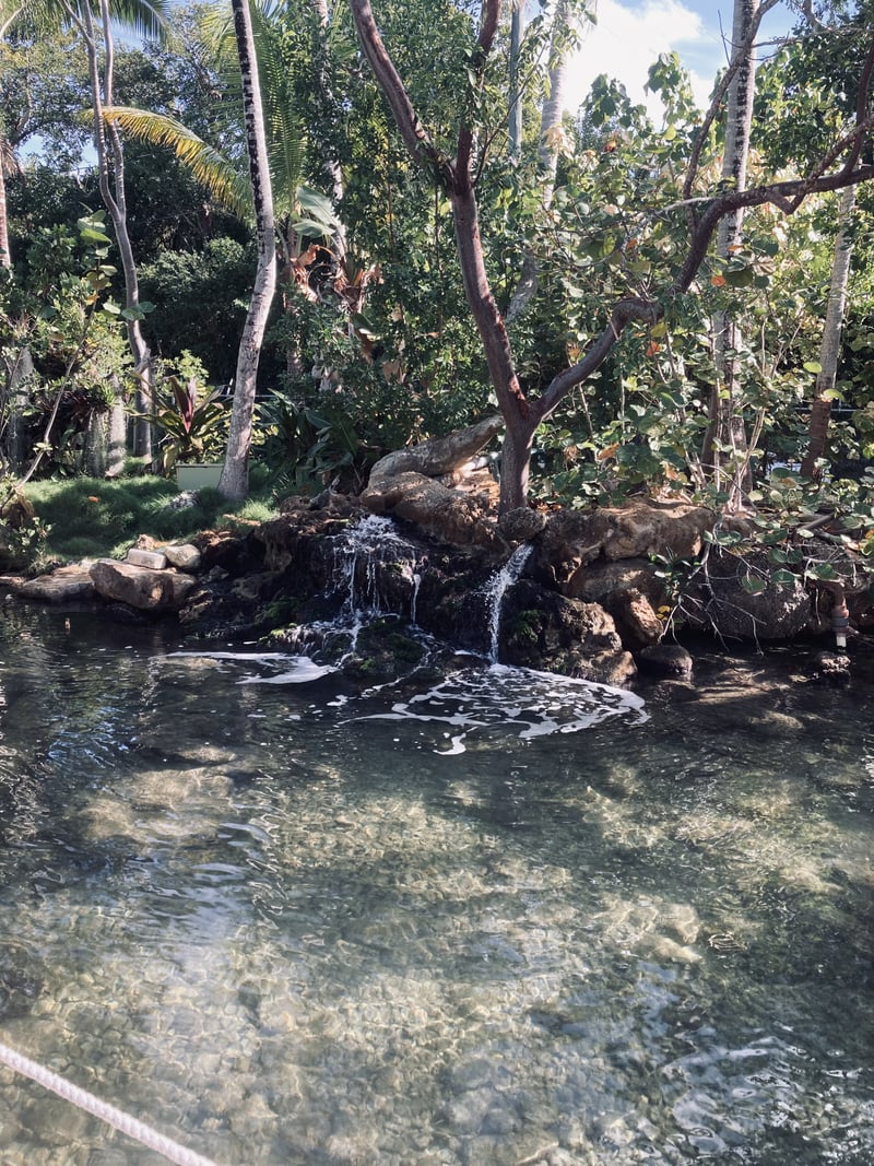 The Moorings Village Gardens