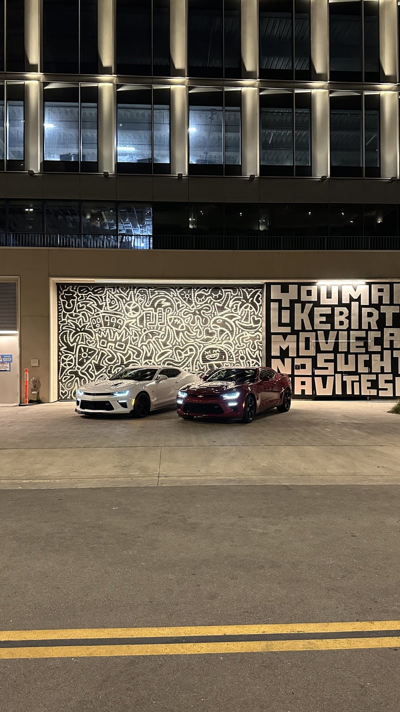 RaDD Mural Backdrop