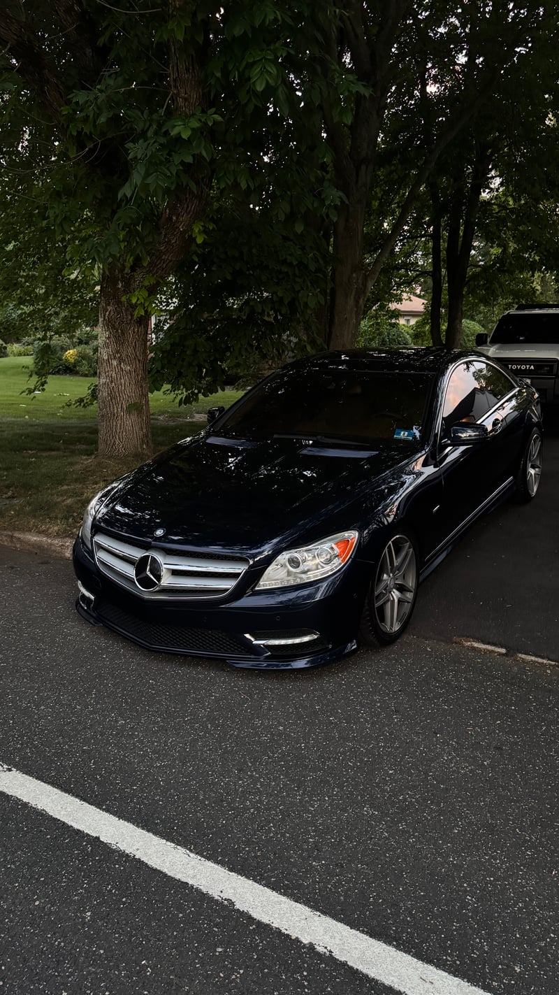 Dix Hills Tree-Lined Driveway